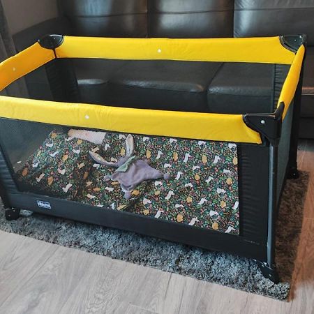 Pasaku Apartaments سيسيس المظهر الخارجي الصورة